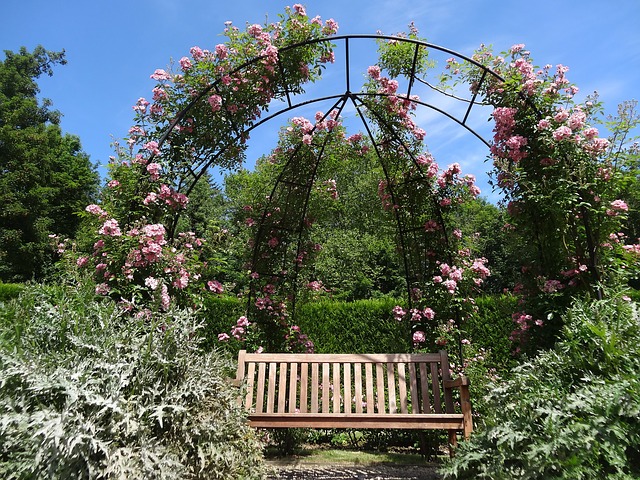 květiny nad lavicí